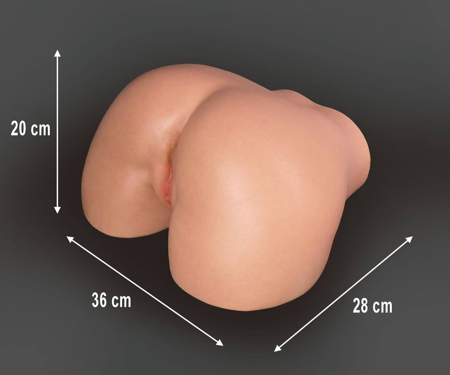 Sex-Torso Fantasy