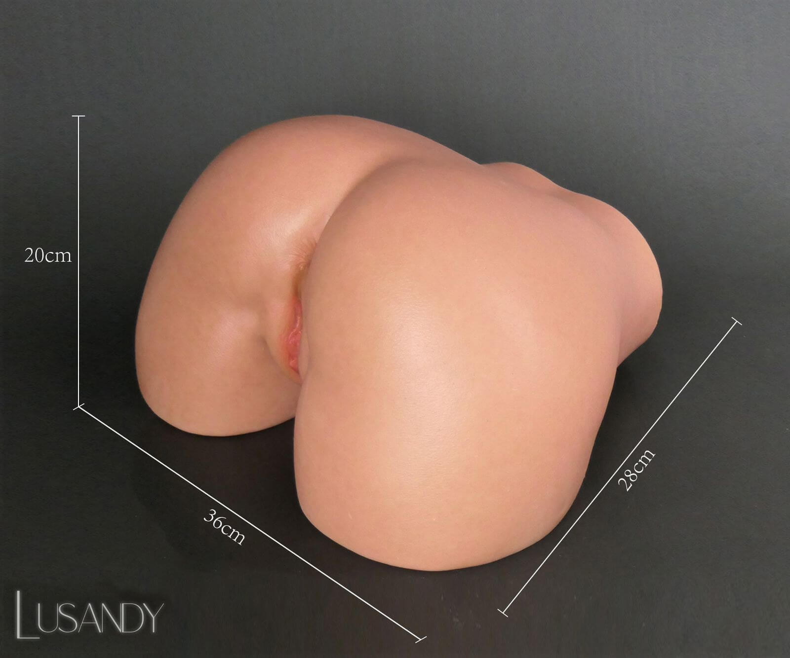Sex-Torso Fantasy