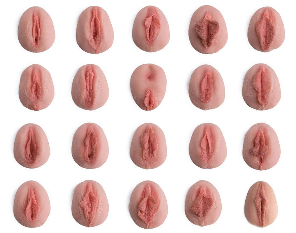 Vulva Abdruck Bundle
