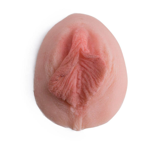 Vulva Abdruck Xania