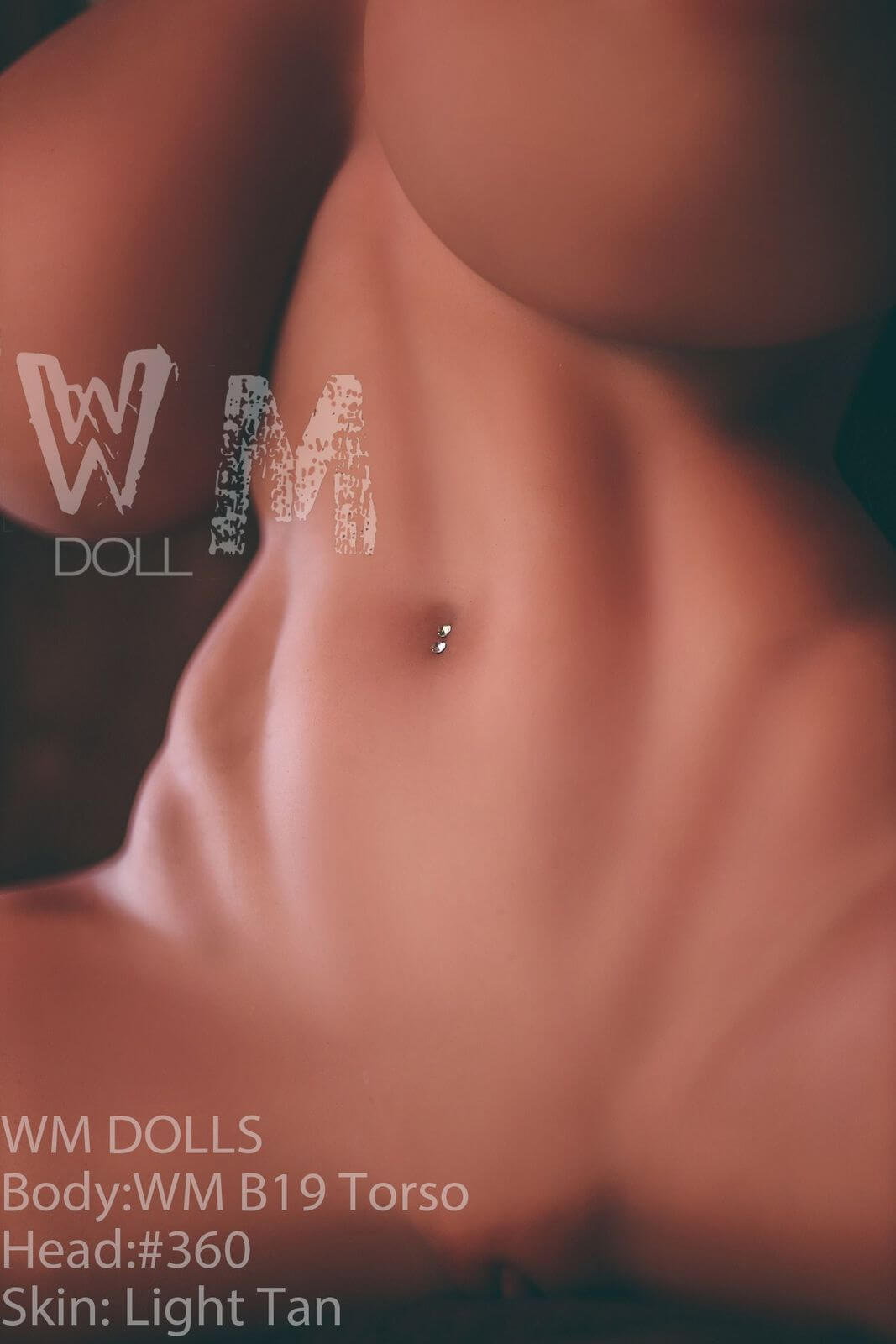 Sex Doll Torso Lientje