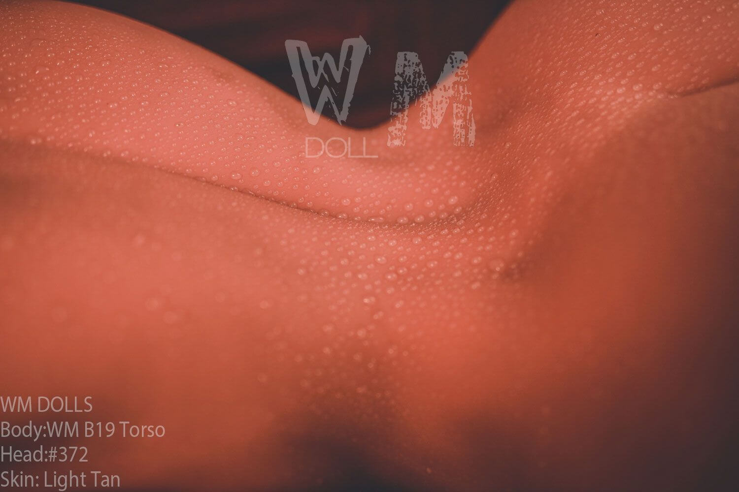 Sex Doll Torso Klea