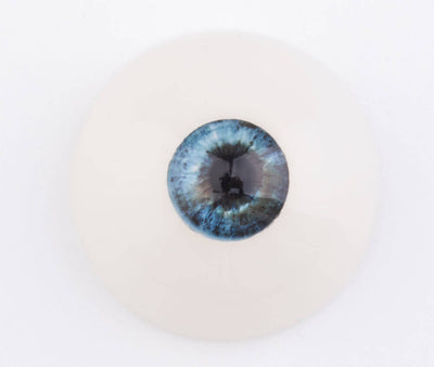 Augen Fuer Die Tpe Puppe Farbe Blau